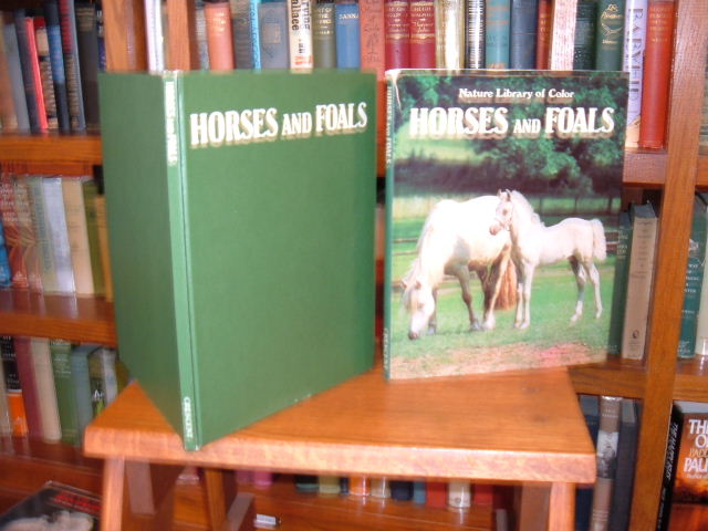 A Golden Stamp Book. Horses. by Rachlis, Eugene.: Good Soft cover (1959)  First Edition (assumed)