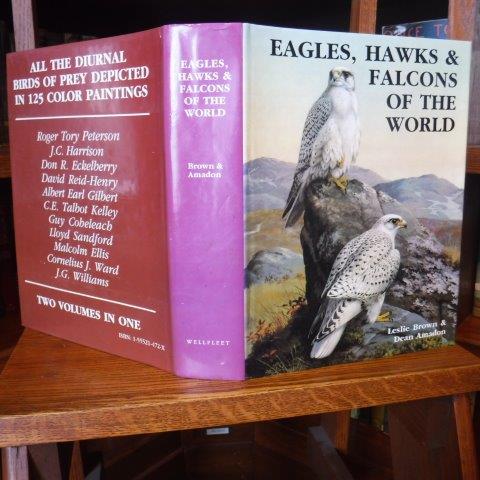 Eagles, Hawks and Falcons of the World