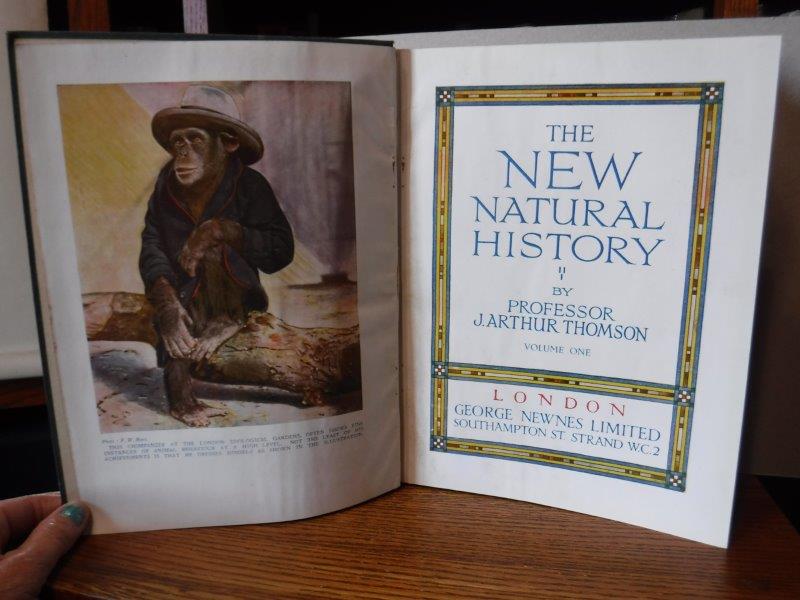 The New Natural History (3 Volume Set)