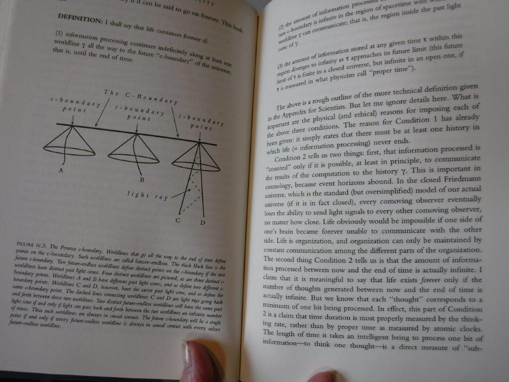 The Physics of Immortality - Modern Cosmology, God and the Resurrection ...