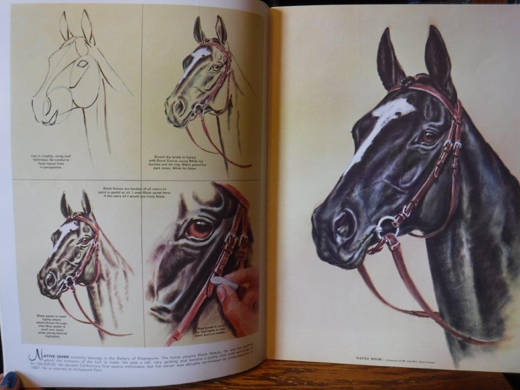 drawings of horses heads